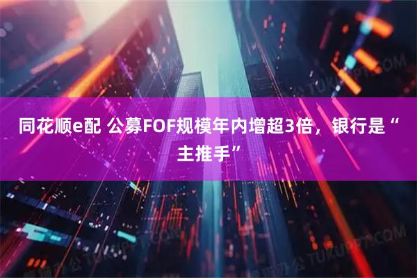 同花顺e配 公募FOF规模年内增超3倍，银行是“主推手”