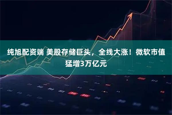 纯旭配资端 美股存储巨头，全线大涨！微软市值猛增3万亿元