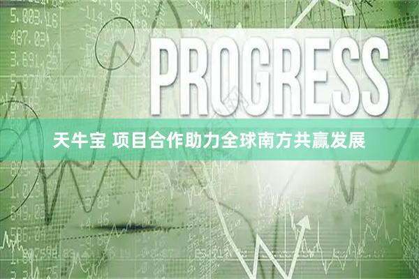 天牛宝 项目合作助力全球南方共赢发展