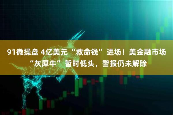 91微操盘 4亿美元 “救命钱” 进场！美金融市场 “灰犀牛” 暂时低头，警报仍未解除