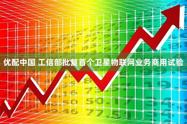 优配中国 工信部批复首个卫星物联网业务商用试验