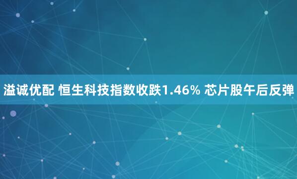 溢诚优配 恒生科技指数收跌1.46% 芯片股午后反弹