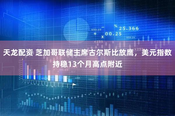 天龙配资 芝加哥联储主席古尔斯比放鹰,美元指数持稳13个月高点附近