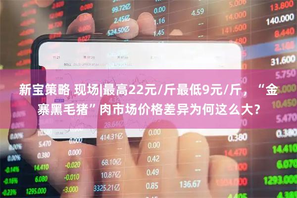新宝策略 现场|最高22元/斤最低9元/斤，“金寨黑毛猪”肉市场价格差异为何这么大？